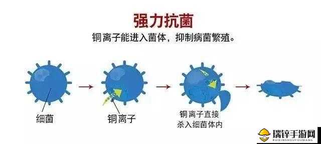 铜铜铜铜铜好深板是否有病毒相关情况探讨